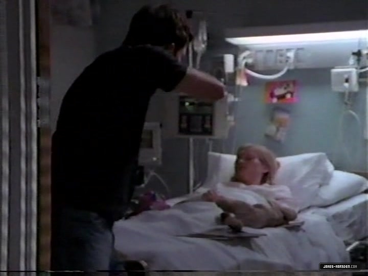 4081.jpg